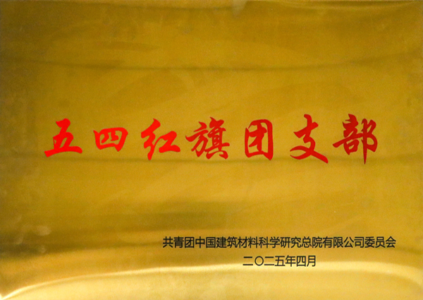 總院團(tuán)委五四紅旗團(tuán)支部.jpg
